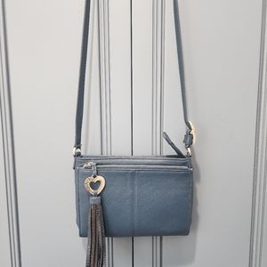 Brighton cross body purse/organizer
